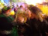 DSCF7490.JPG